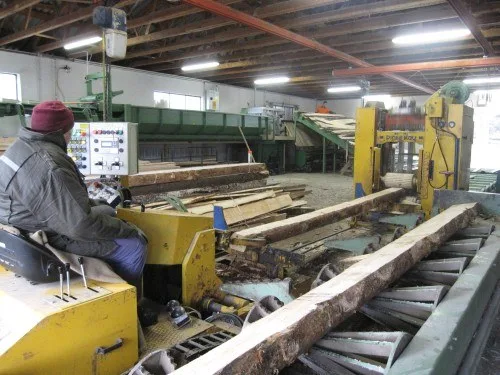 Sägeanlage mit Rundholz auf der Fördertechnik