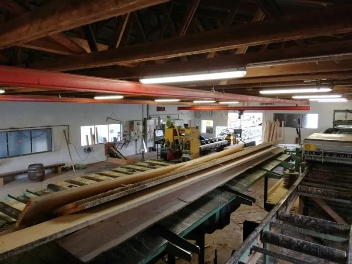 Fördertechnik und Maschinen in der Sägehalle