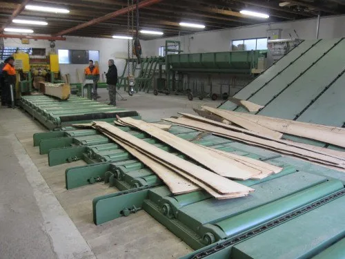 Holz auf der Förderanlage in der Sägehalle